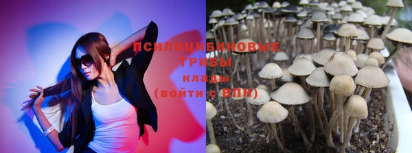 прущие крисы Абаза