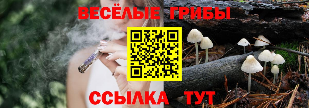 Новочеркасск  Галлюциногенные грибы мицелий  где продают   Вход с VPN 
